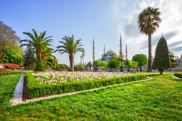 Césped delante del Sultán Ahmed o Mezquita Azul en Estambul, Turquía