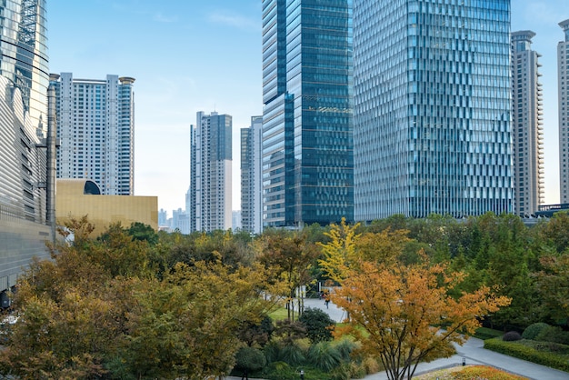 Césped y edificio de oficinas en el centro financiero de Lujiazui