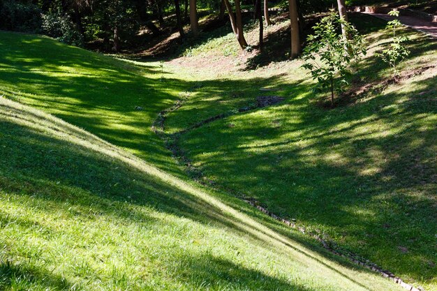 Césped de hierba verde con sombras