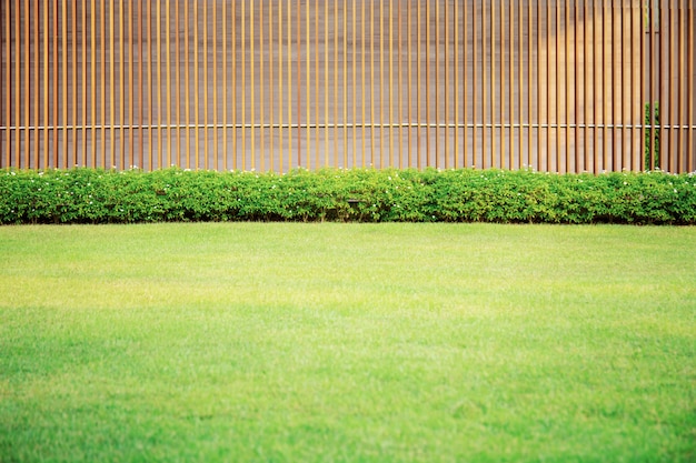 Césped en jardín.