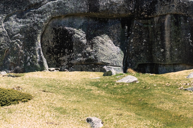 Césped y muro de piedra