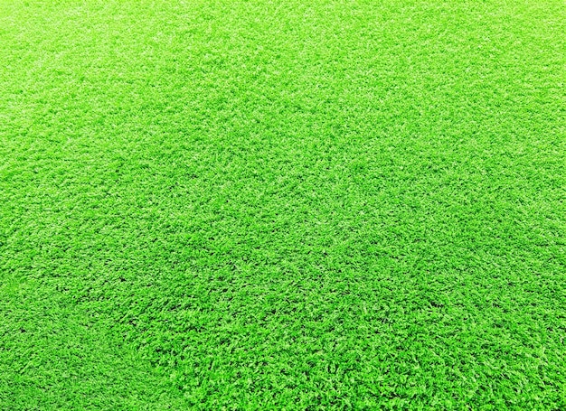 Césped verde artificial de fondo