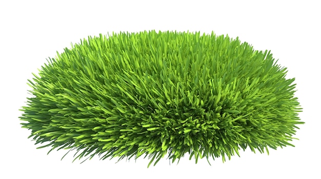el césped verde