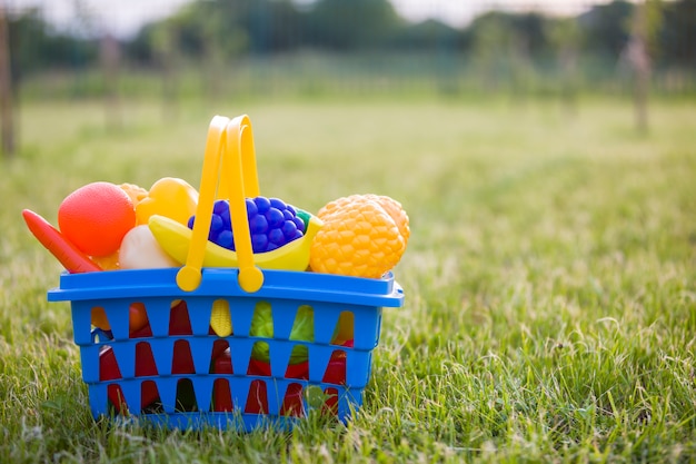Cesta colorida de plástico brillante con frutas y verduras de juguete al aire libre en un día soleado de verano.
