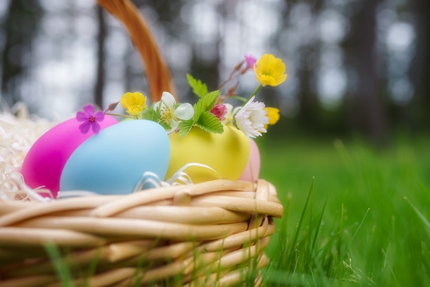 Cesta con coloridos huevos de pascua y flores de primavera sobre la hierba verde