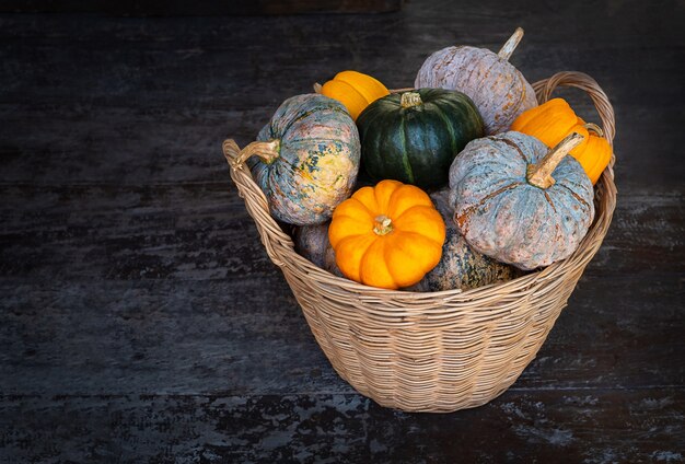 Cesta com diferentes abóboras multicoloridas em mesa de madeira escura