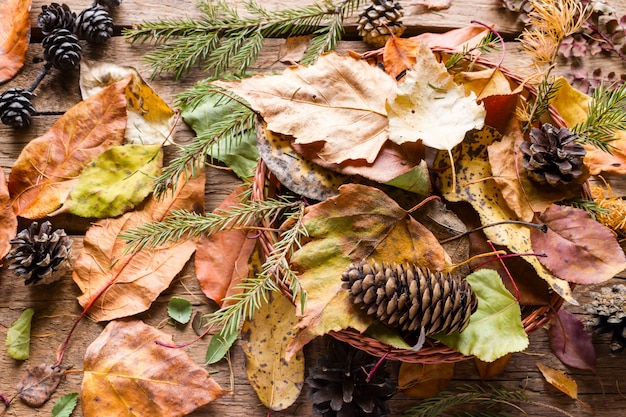 Cesta com folhas secas de outono, galhos e pinhas em um fundo de madeira