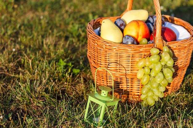 Cesta com fruta na relva