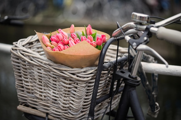 Cesta com tulipas em uma bicicleta