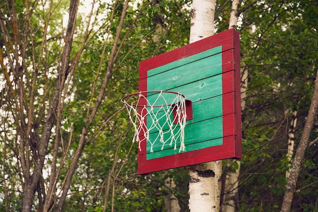 Cesta de basquete caseira em vidoeiro na natureza.