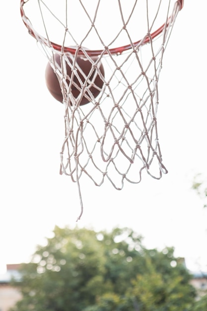 Cesta de basquete Close-Up