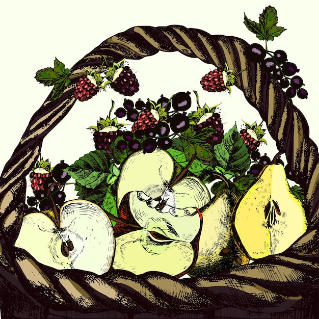 Cesta de ilustrações com frutas frescas