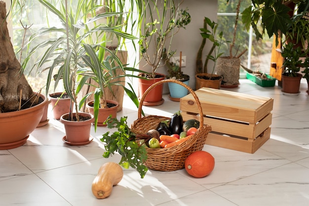 Cesta de legumes que foram cultivados e cultivados dentro de casa