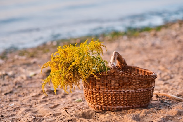 Cesta de vime com buquê de verão de flores silvestres amarelas goldenrod na praia