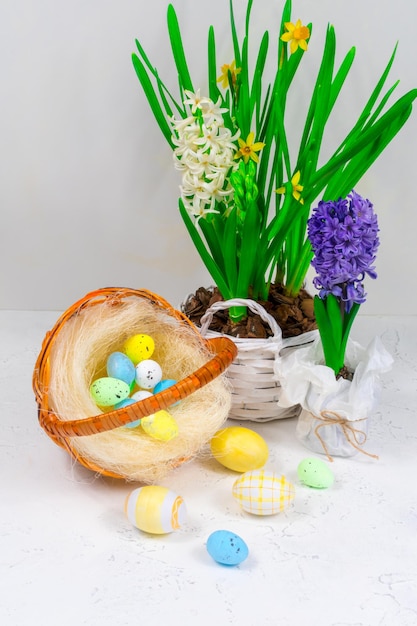 Cesta de vime com ovos de codorna em um fundo de narcisos amarelos e jacintos azuis em uma mesa branca Conceito de férias de Páscoa