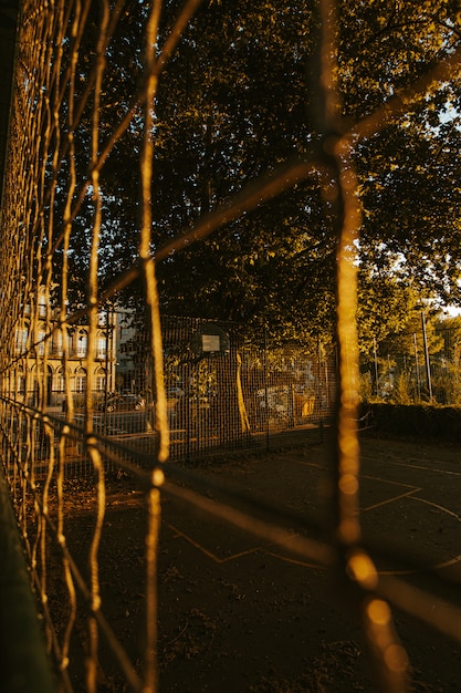 Foto cesta do lado de fora durante o pôr do sol