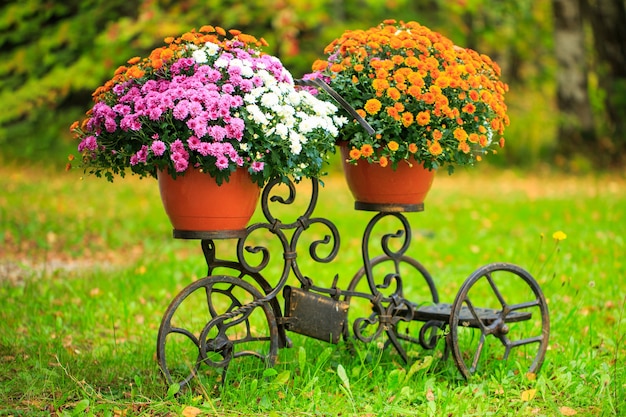 Cesta de flores en el tronco de una bicicleta vieja decoración de jardín de estilo provenzal envío de flores en línea ...