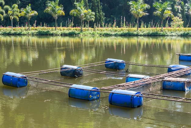 Cesta flotante