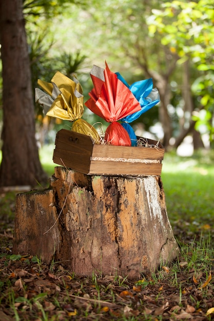 Cesta de huevos de Pascua brasileña en el bosque