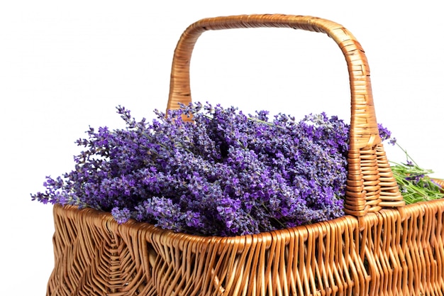 Cesta con una lavanda, aislada en blanco