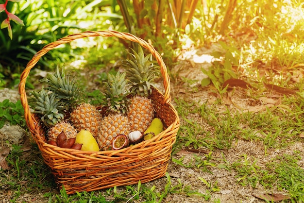 Cesta llena de diferentes frutas tropicales frescas