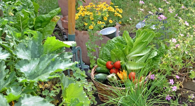 Cesta llena de verduras de temporada recién cosechadas en el jardín de flores con herramientas de jardinería