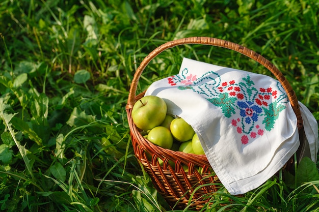 Cesta con manzanas en la hierba