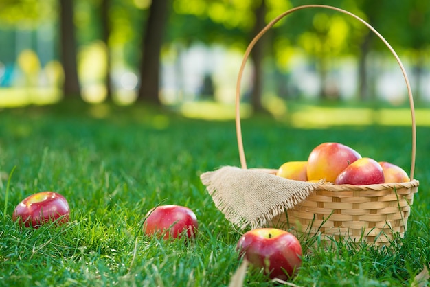 Cesta de manzanas de Picnic a cuadros a cuadros fruta verde hierba verano descanso diseño de fondo concepto Web formato largo