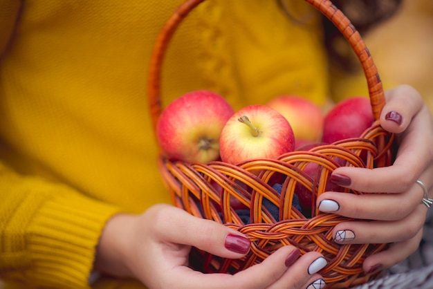 Cesta con manzanas rojas en las manos en el jardín del campo al atardecer Enfoque selectivo