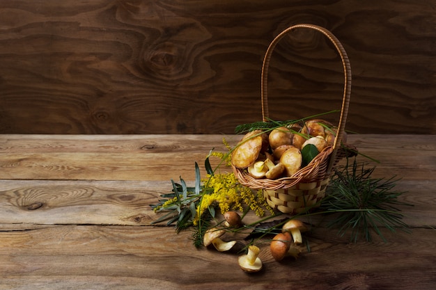 Cesta de mimbre con setas del bosque en la superficie rústica