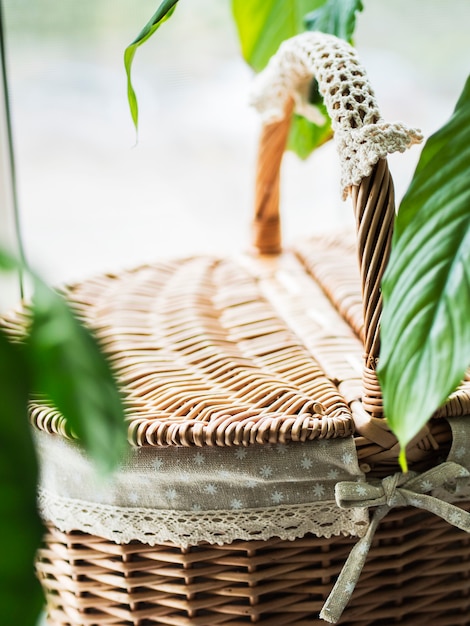 Cesta de mimbre vintage en el alféizar de la ventana con plantas verdes