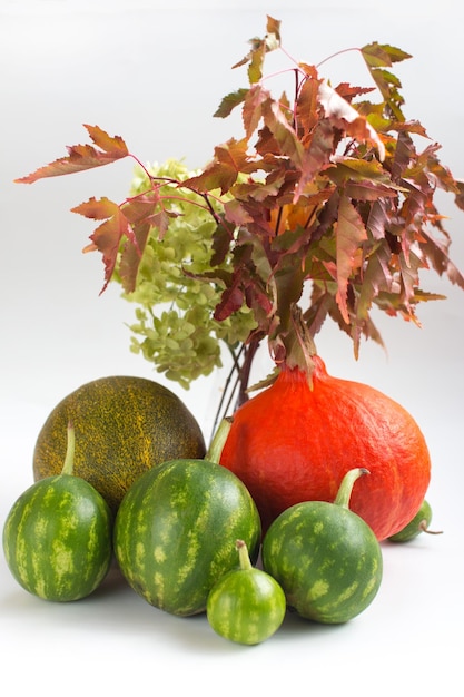 Cesta de otoño con calabaza y sandías pequeñas Cosecha de otoño