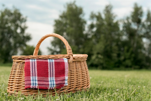 Cesta de picnic sobre césped del parque