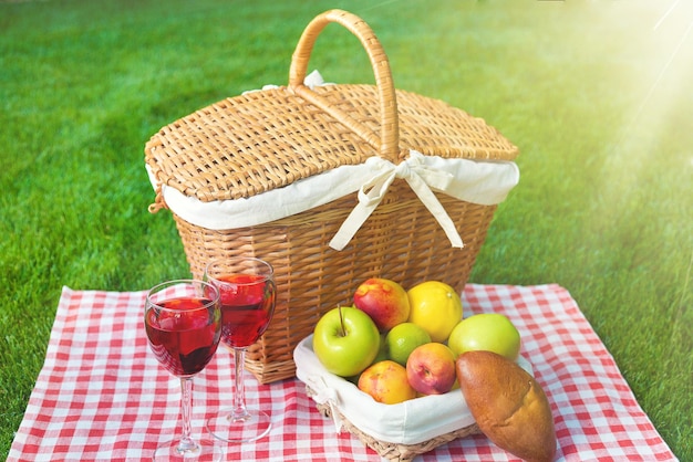 Cesta de picnic con vino, pan y uvas