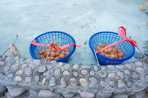 Cesta tejer huevo cocido en Hot Springs