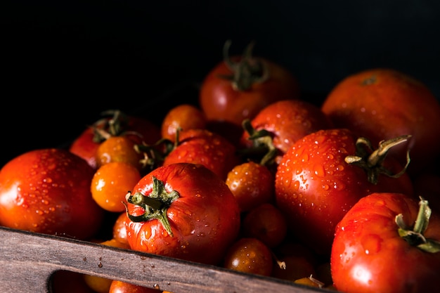 Cesta con tomates de otoño