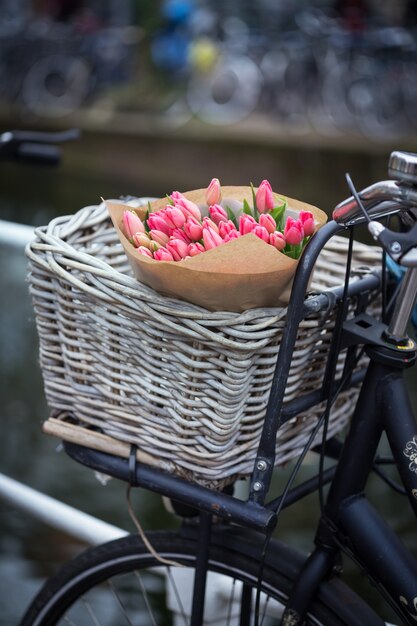 Cesta con tulipanes en bicicleta en Amsterdam