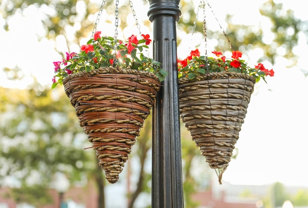 Cestas colgantes con flores y colgadas de un poste de luz.