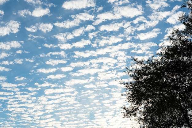 Céu azul brilhante com nuvens brancas e fofas Beleza da natureza Fundo natural aéreo