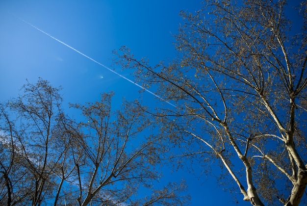 Céu azul com muitas linhas de nuvens feitas de aeronaves.