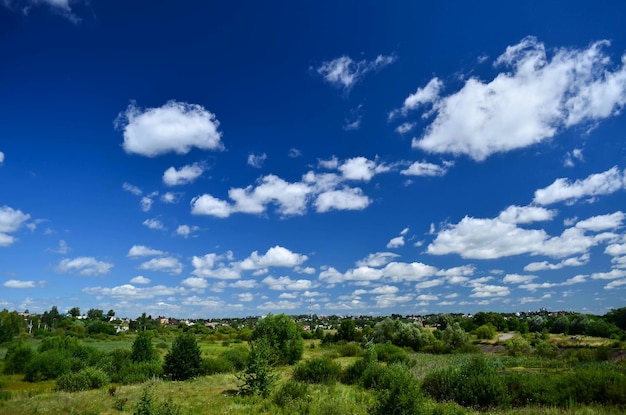 Céu azul com nuvens brancas, prado verde e árvores. Linda paisagem de verão. Viagem pela província. Rússia.