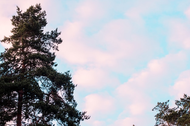 Céu azul com nuvens brancas