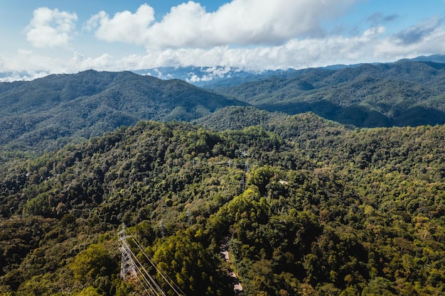 Céu azul com nuvens floresta verde pela manhã