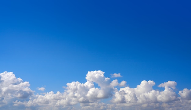 Céu azul de verão branco nuvens cumulus