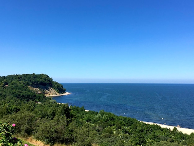 Céu azul do aterro da paisagem de verão