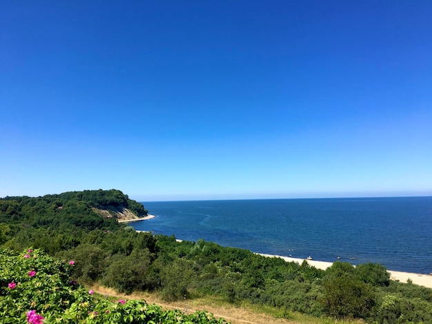 Céu azul do aterro da paisagem de verão