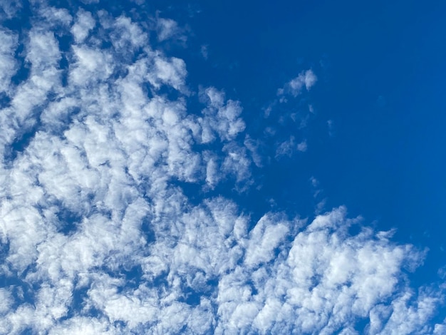 Céu azul e fundo de cloudscape branco