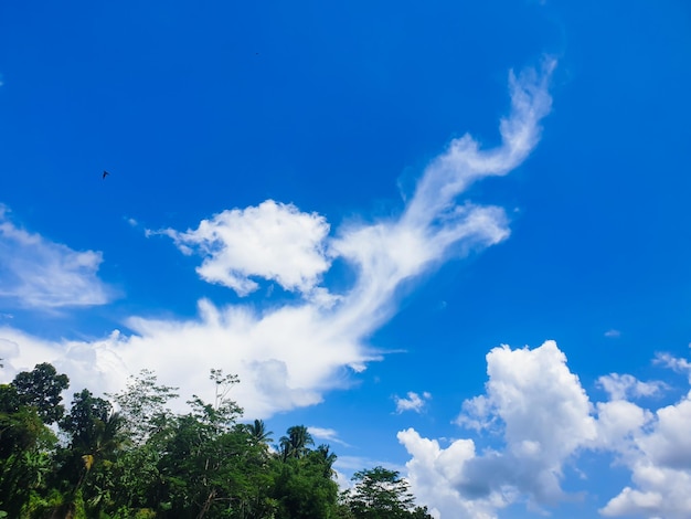 céu azul e nuvens Céu e nuvens em estilo pastelFrescura do novo dia