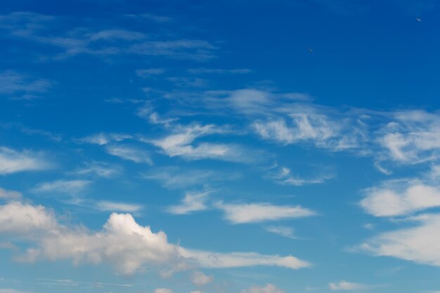 Céu azul e ondas brancas