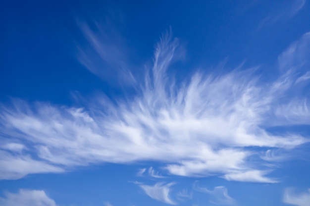 Céu azul ensolarado de verão, nuvens em forma de pena, fenômeno atmosférico. formas aéreas de paisagem.